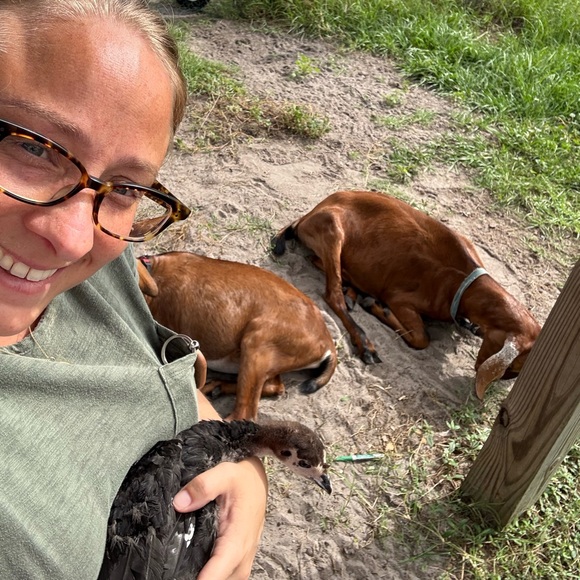 Meet your Posher, Jacqueline - Picture 3 of 4